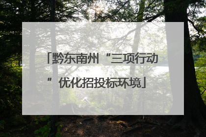 黔东南州“三项行动”优化招投标环境
