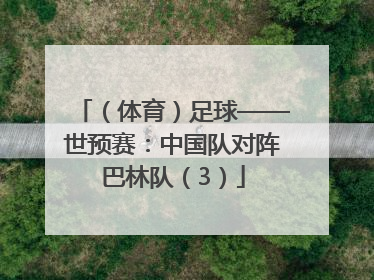 （体育）足球——世预赛：中国队对阵巴林队（3）