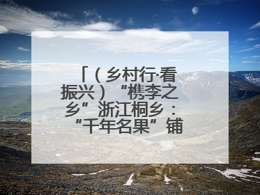 （乡村行·看振兴）“槜李之乡”浙江桐乡：“千年名果”铺就乡村共富路