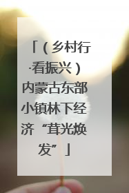 （乡村行·看振兴）内蒙古东部小镇林下经济“茸光焕发”