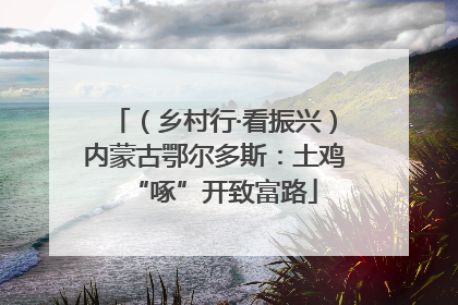 （乡村行·看振兴）内蒙古鄂尔多斯：土鸡“啄”开致富路