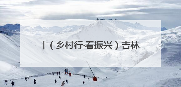 （乡村行·看振兴）吉林辉南荒山变“绿色银行” 绿水青山有“钱景”