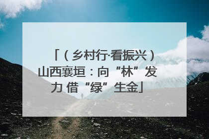 （乡村行·看振兴）山西襄垣：向“林”发力 借“绿”生金