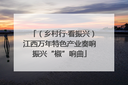 （乡村行·看振兴）江西万年特色产业奏响振兴“椒”响曲