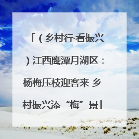 （乡村行·看振兴）江西鹰潭月湖区：杨梅压枝迎客来 乡村振兴添“梅”景