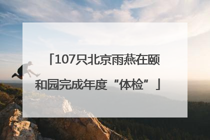 107只北京雨燕在颐和园完成年度“体检”