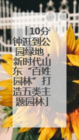 10分钟逛到公园绿地，新时代山东“百姓园林”打造五类主题园林