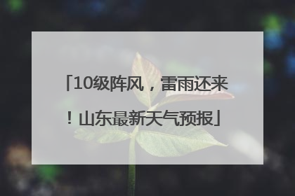 10级阵风，雷雨还来！山东最新天气预报
