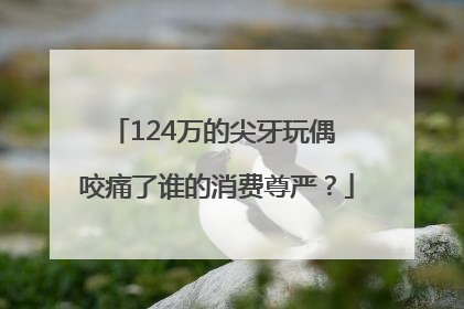 124万的尖牙玩偶 咬痛了谁的消费尊严？