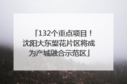 132个重点项目！沈阳大东望花片区将成为产城融合示范区