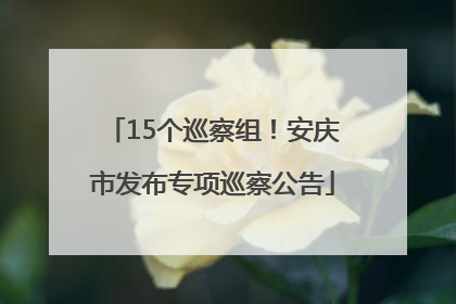 15个巡察组！安庆市发布专项巡察公告