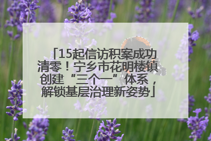 15起信访积案成功清零！宁乡市花明楼镇创建“三个一”体系，解锁基层治理新姿势