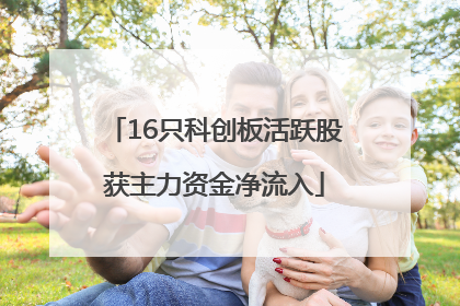 16只科创板活跃股获主力资金净流入