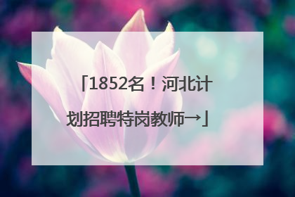 1852名！河北计划招聘特岗教师→