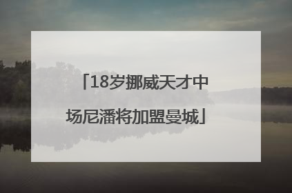 18岁挪威天才中场尼潘将加盟曼城
