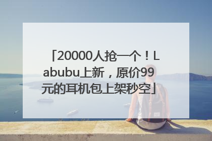 20000人抢一个！Labubu上新，原价99元的耳机包上架秒空