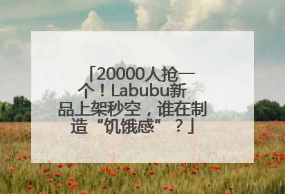 20000人抢一个！Labubu新品上架秒空，谁在制造“饥饿感”？