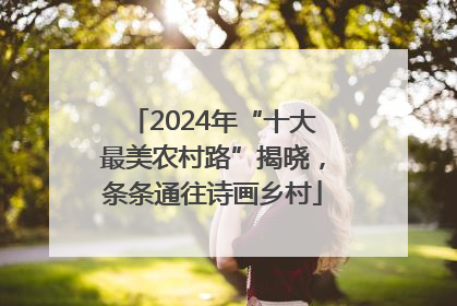 2024年“十大最美农村路”揭晓，条条通往诗画乡村