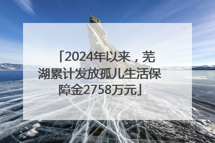 2024年以来，芜湖累计发放孤儿生活保障金2758万元