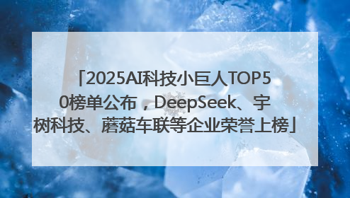2025AI科技小巨人TOP50榜单公布，DeepSeek、宇树科技、蘑菇车联等企业荣誉上榜