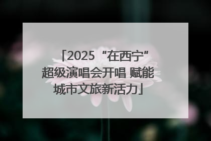 2025“在西宁”超级演唱会开唱 赋能城市文旅新活力