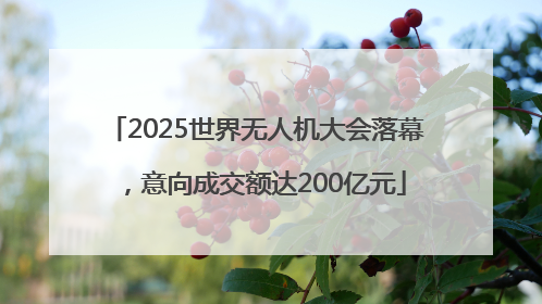 2025世界无人机大会落幕，意向成交额达200亿元