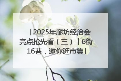 2025年廊坊经洽会亮点抢先看（三）丨6街16巷，邀你逛市集
