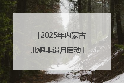 2025年内蒙古北疆非遗月启动