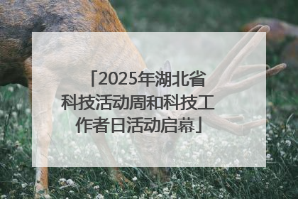 2025年湖北省科技活动周和科技工作者日活动启幕