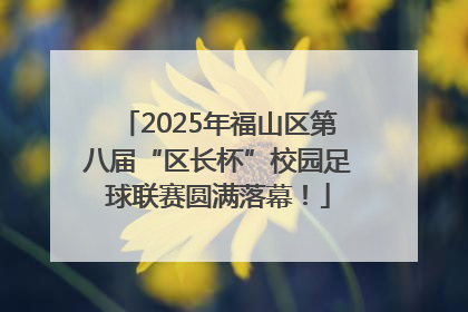2025年福山区第八届“区长杯”校园足球联赛圆满落幕！