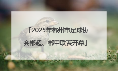2025年郴州市足球协会郴超、郴甲联赛开幕
