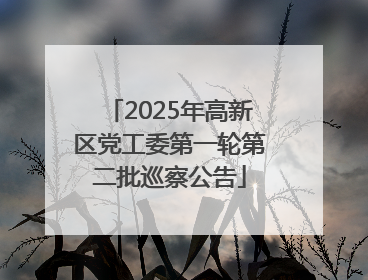 2025年高新区党工委第一轮第二批巡察公告