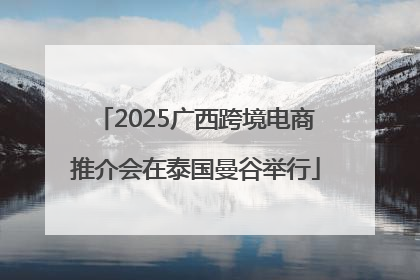 2025广西跨境电商推介会在泰国曼谷举行