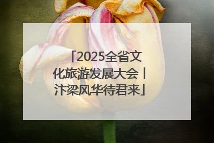 2025全省文化旅游发展大会丨汴梁风华待君来