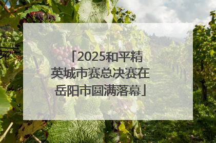 2025和平精英城市赛总决赛在岳阳市圆满落幕