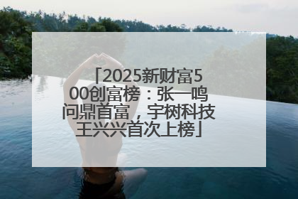 2025新财富500创富榜：张一鸣问鼎首富，宇树科技王兴兴首次上榜