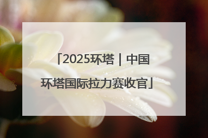 2025环塔｜中国环塔国际拉力赛收官