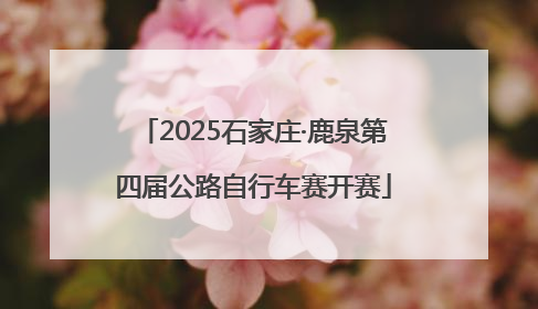 2025石家庄·鹿泉第四届公路自行车赛开赛
