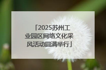 2025苏州工业园区网络文化采风活动圆满举行