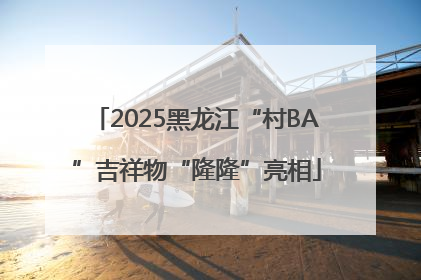 2025黑龙江“村BA”吉祥物“隆隆”亮相