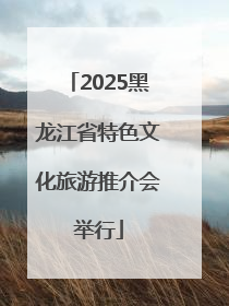 2025黑龙江省特色文化旅游推介会举行