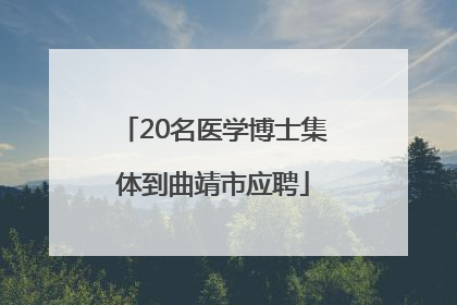 20名医学博士集体到曲靖市应聘