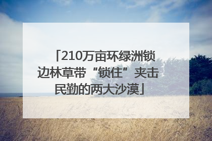 210万亩环绿洲锁边林草带“锁住”夹击民勤的两大沙漠