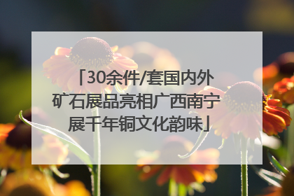 30余件/套国内外矿石展品亮相广西南宁 展千年铜文化韵味