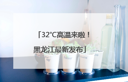 32℃高温来啦！黑龙江最新发布
