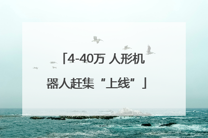 4-40万 人形机器人赶集“上线”