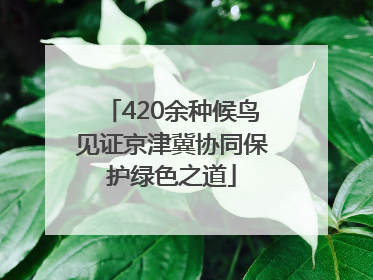 420余种候鸟见证京津冀协同保护绿色之道