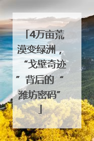 4万亩荒漠变绿洲，“戈壁奇迹”背后的“潍坊密码”
