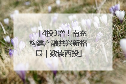 4投3增！南充构建产融共兴新格局｜数读西投
