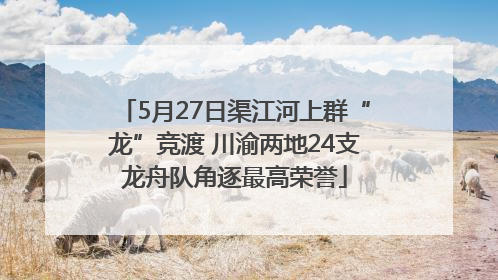 5月27日渠江河上群“龙”竞渡 川渝两地24支龙舟队角逐最高荣誉